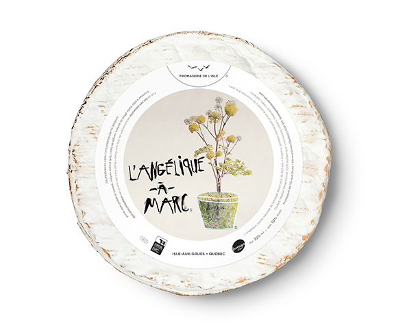 Angélique à Marc